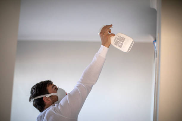 Best Residential Mold Removal  in Hawley, PA