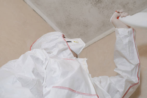 Best Commercial Mold Removal  in Hawley, PA
